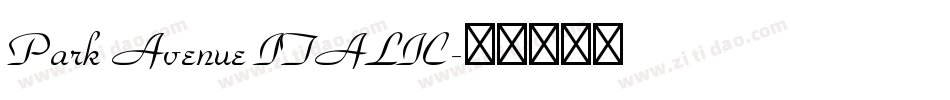 Park Avenue ITALIC字体转换